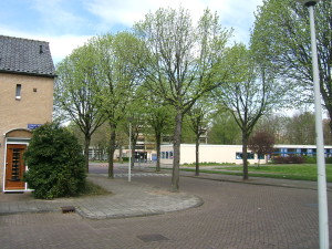 Capelleschool 2008 - geen Maps